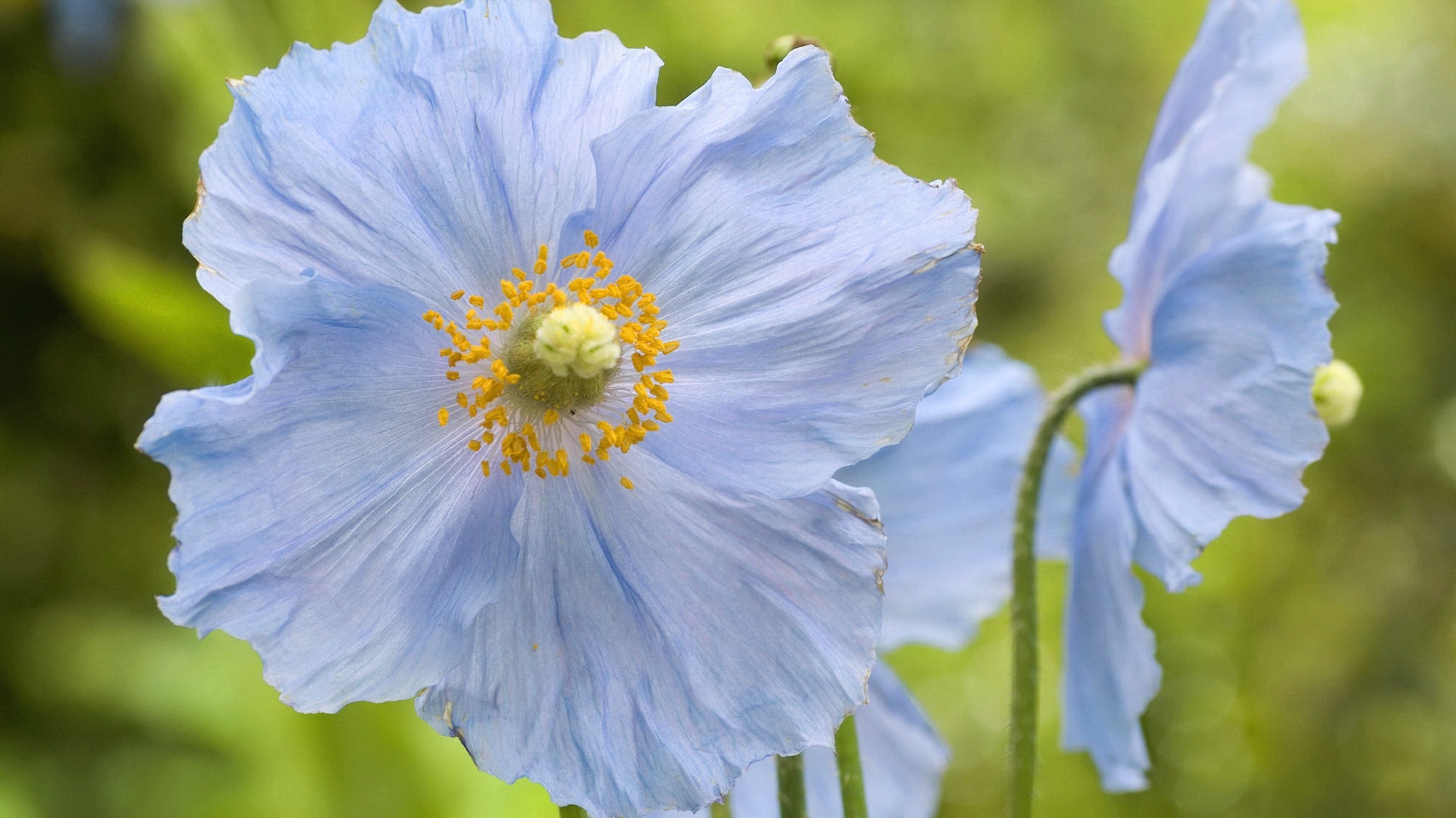 natura_106.jpg