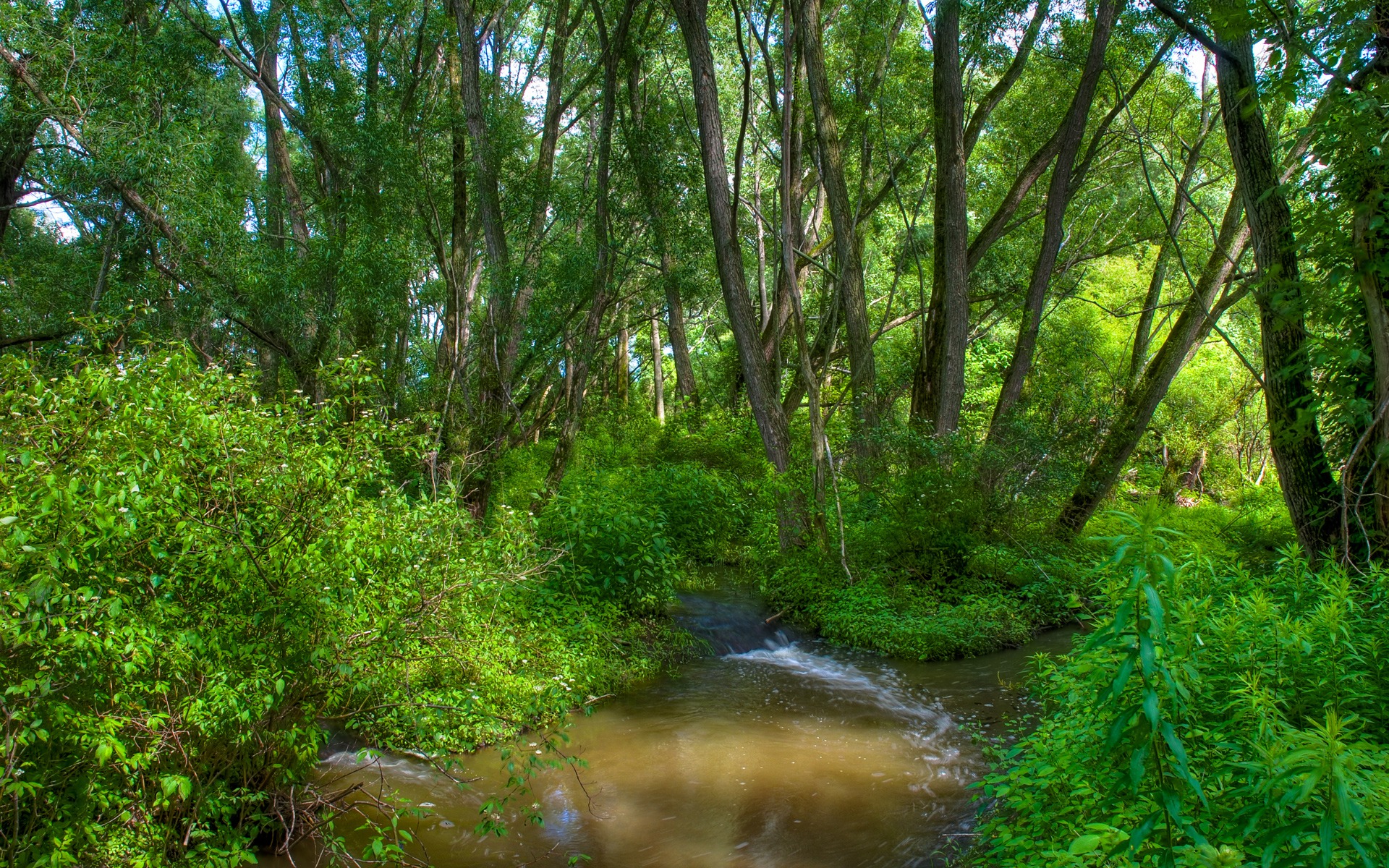 natura_168.jpg