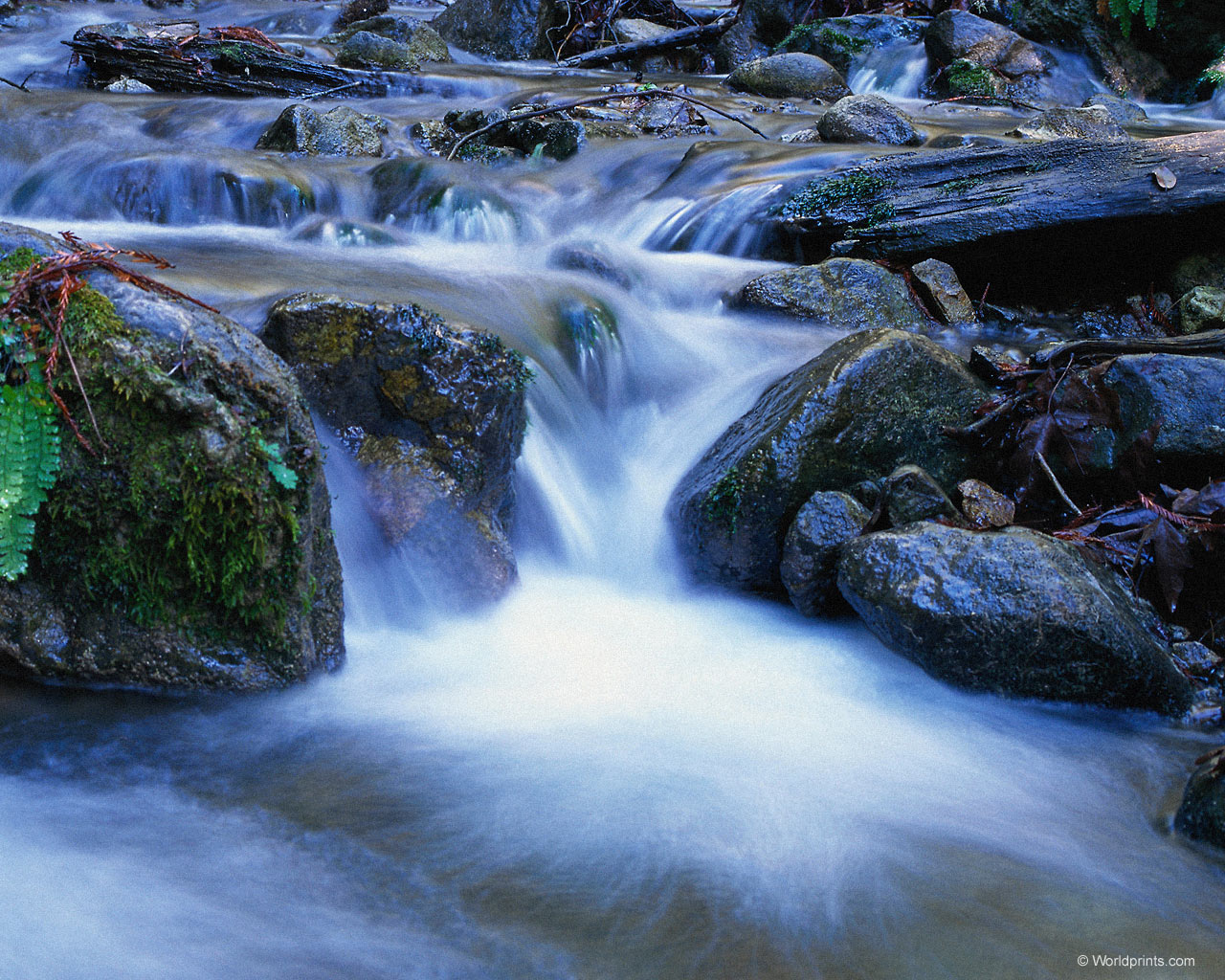 natura_96.jpg