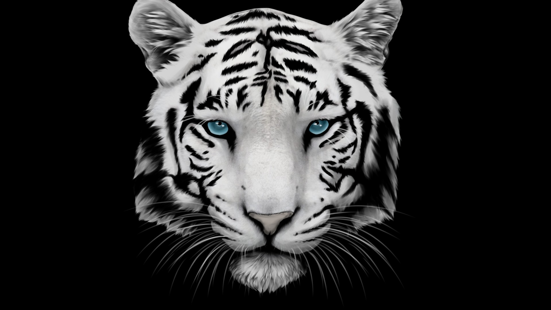 animals_204.jpg
