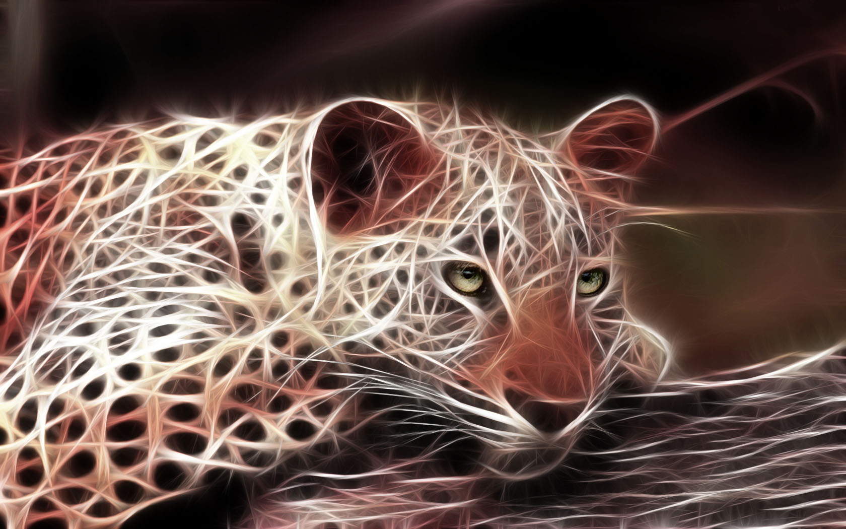 animals_88.jpg