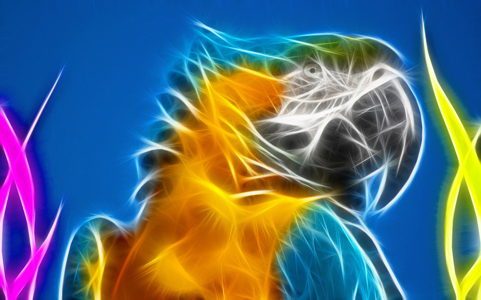 animals_95.jpg